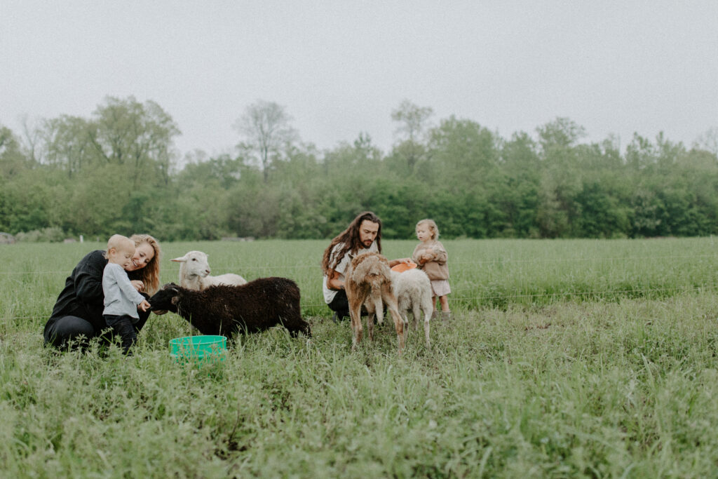 Family feeding sheep on farm.