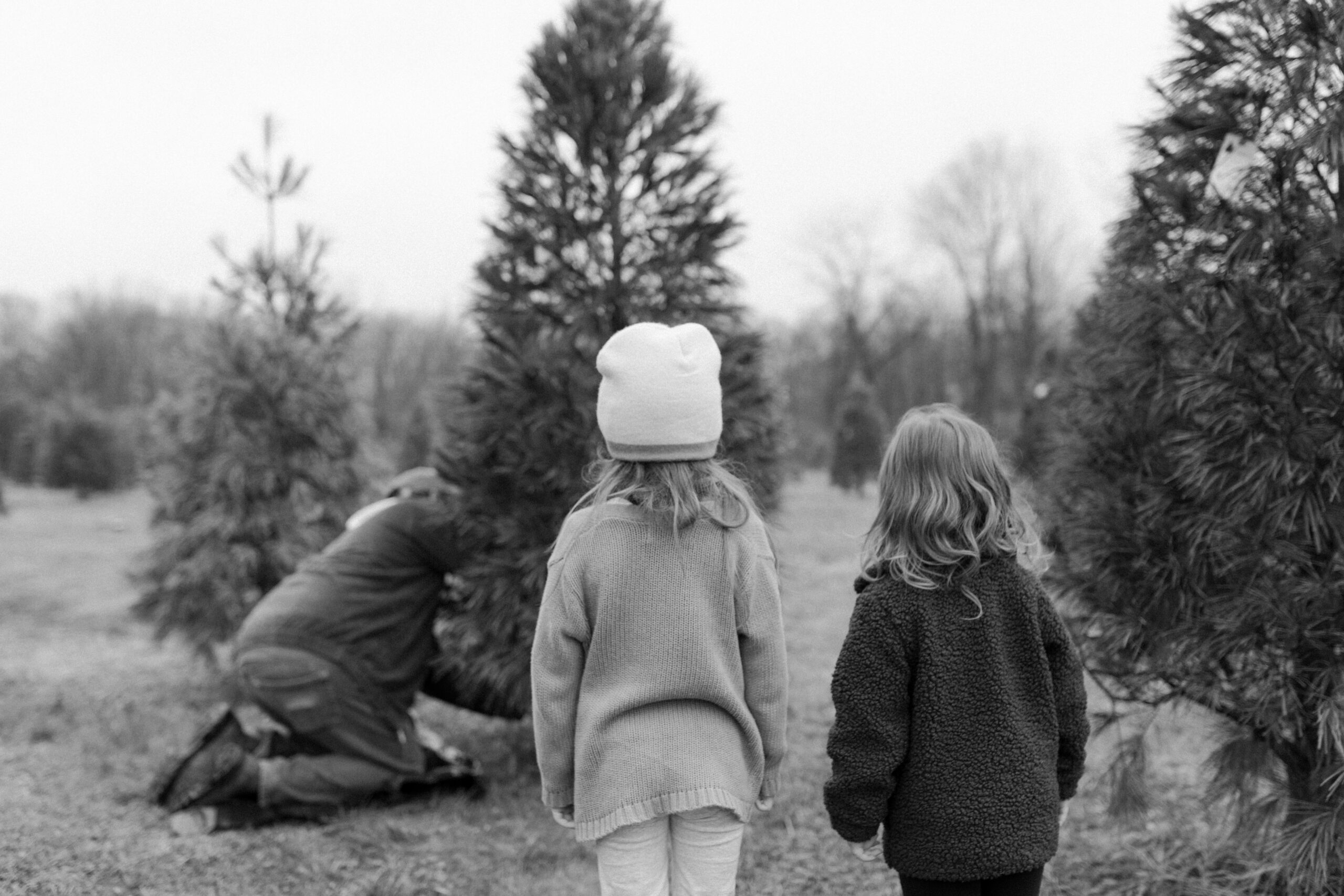 Two young girl watching Christmas tree be cut down with backs to camera.